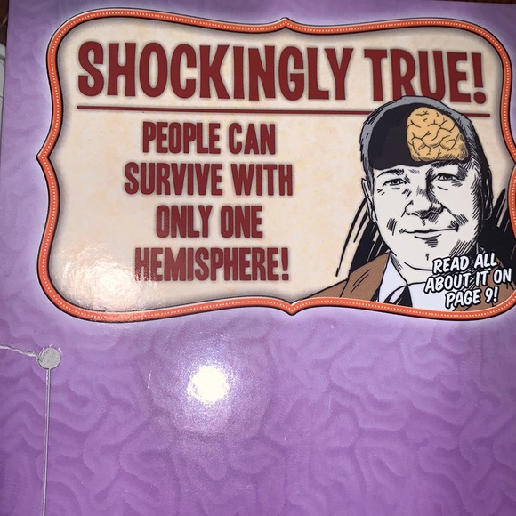 New‼️The Amazing Squishy Brain by Smart Lab - Picture 4 of 6